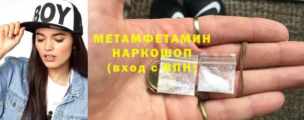 трава Няндома