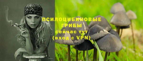 ECSTASY Абдулино