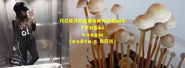 ECSTASY Абдулино