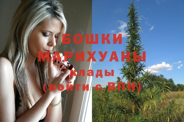трава Няндома