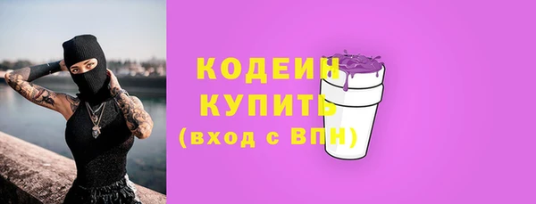 трава Няндома